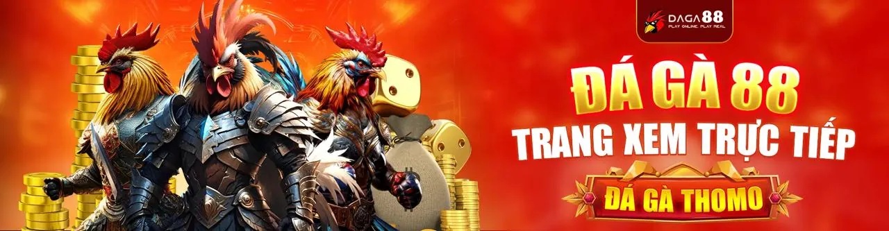 Sân vận động thể thao với các biểu tượng cá cược funn88 win